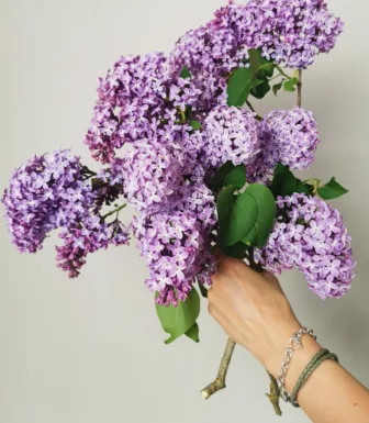 Hand mit Silberarmband und Blumenstrauß vor Atelierwand ©Nicole Ungerer Goldschmiede Forchheim Oberfranken